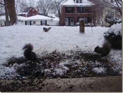 Feb2010 423