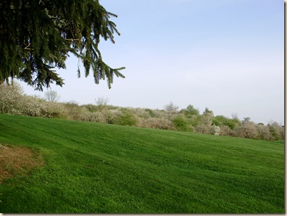 April2010 328