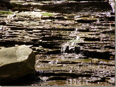 April2010 527