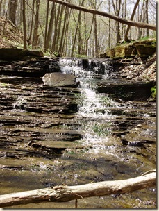 April2010 425