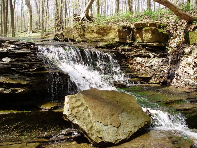 [April2010 428[2].jpg]