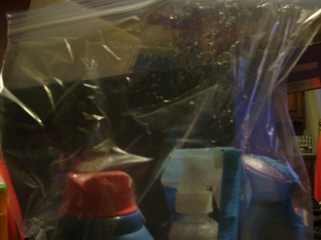 [Nov2009 066[2].jpg]