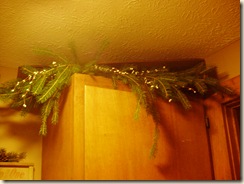 Dec2009 012