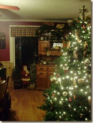 Dec2009 021