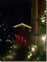 Dec2009 002