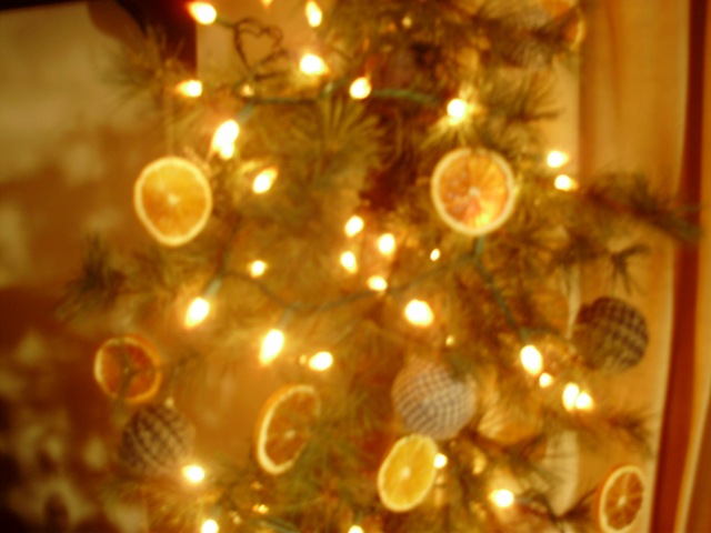 [Dec2009 045[2].jpg]