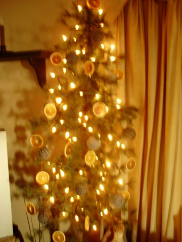 [Dec2009 046[2].jpg]