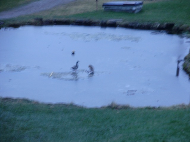 [Dec2009 050[2].jpg]