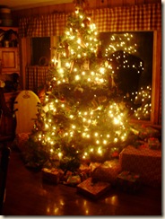 Dec2009 062