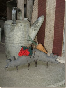 June2010 020