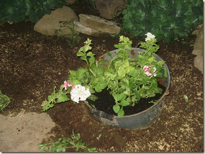 June2010 041