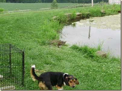 June2010 077