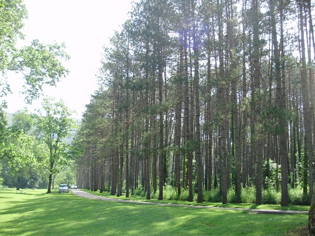 [June2010 089[2].jpg]