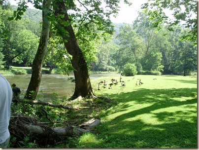 June2010 082