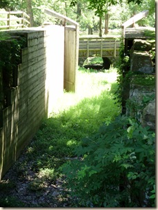 July2010 022