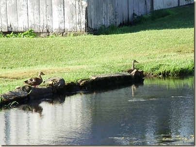 July2010 110
