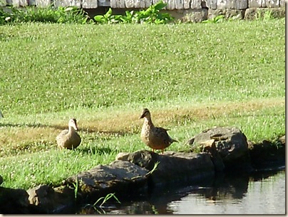 July2010 112