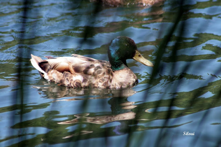 Photo%2020100285