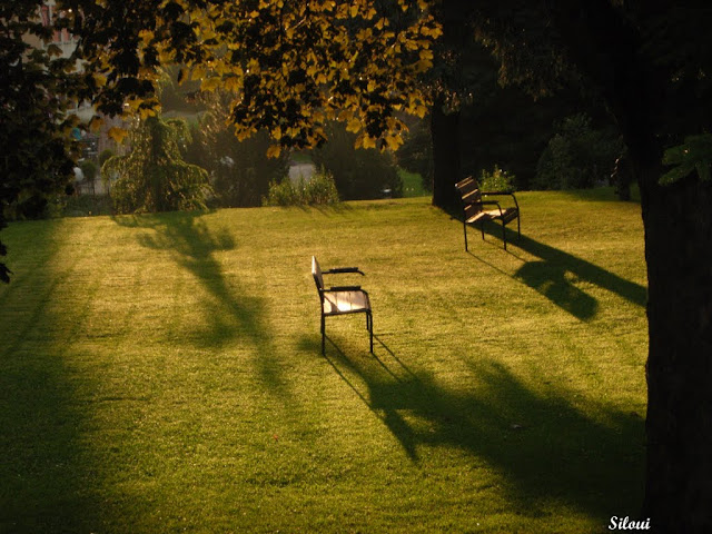 Photo%2020100340