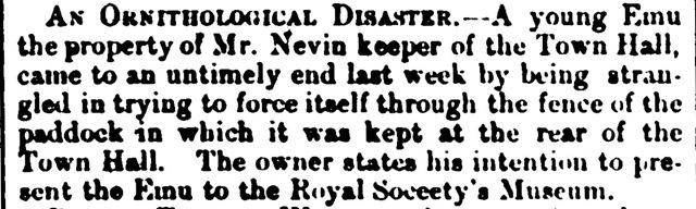 [emutownhall22july18785.jpg]