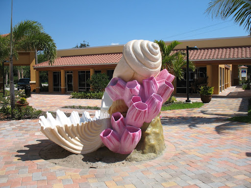 seashells