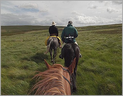 cheviots 069 (Small) cheviots 069 (Small)