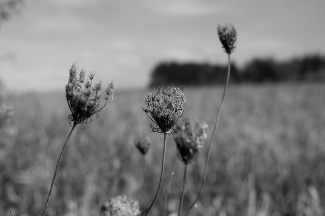 [B&W-4[3].jpg]