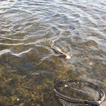 PB050085.JPG