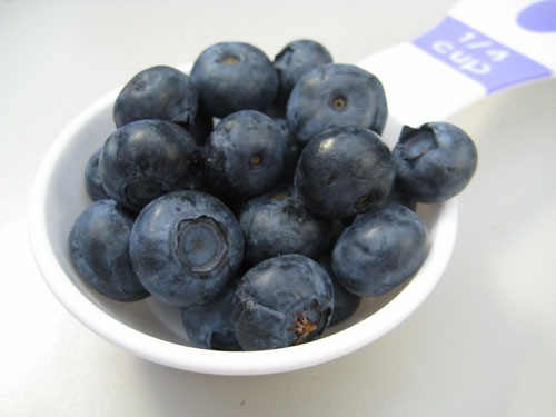 [Blueberries[4].jpg]