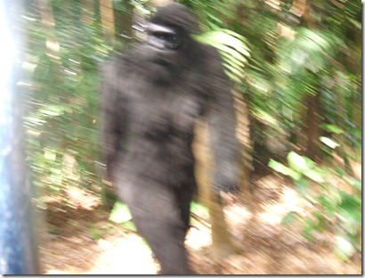 Bigfoot