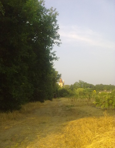 [02072009018[2].jpg]