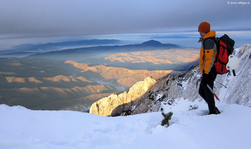Nordica Pietrei Craiului