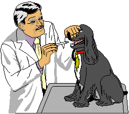 [veterinario[6].gif]