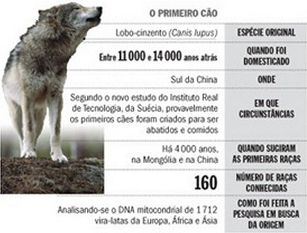 [Evolução dos cães[3].jpg]