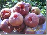 thumbnailCA5LAPW3 thumbnailCA5LAPW3