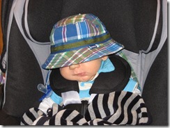 IMG_1714 IMG_1714