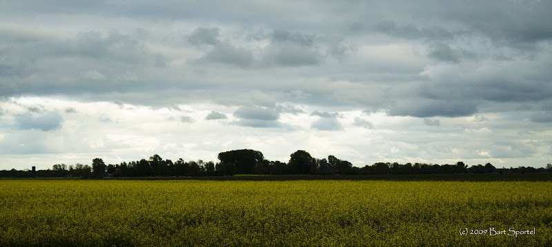 Fotografie