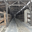 DSC_0177.jpg