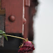 DSC_0193.jpg