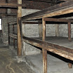 DSC_0201.jpg