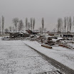 DSC_0207.jpg
