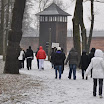 DSC_0220.jpg