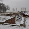 DSC_0219.jpg