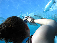 IMG_1493.JPG