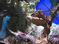 IMG_1502.JPG