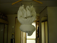 IMG_1583.JPG