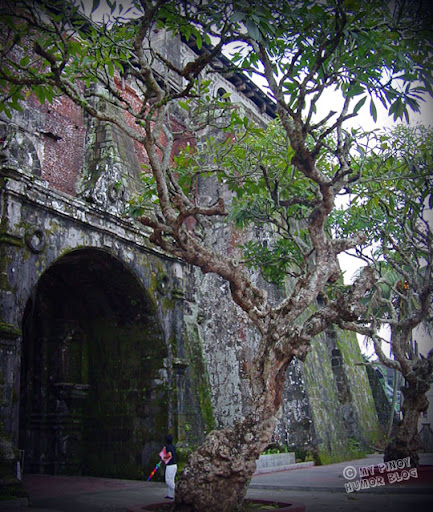 dakilang asyano sa tajikistan