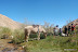 cabalgatas-cochiguaz-8.JPG
