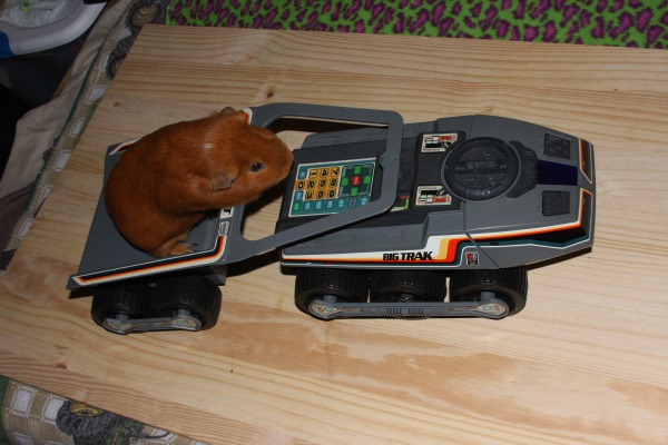 [bigtrak_00162.jpg]