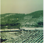 Marchagaz Nevado
